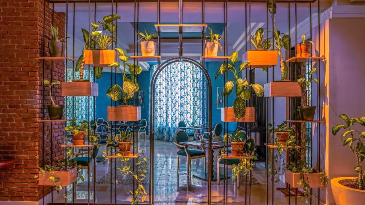 الفندق ريكسوس للكبار فقط - شرم الشيخ